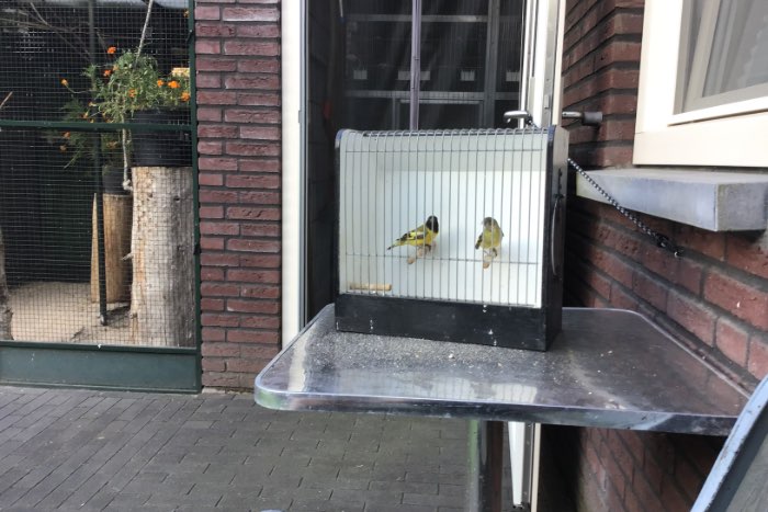 te koop