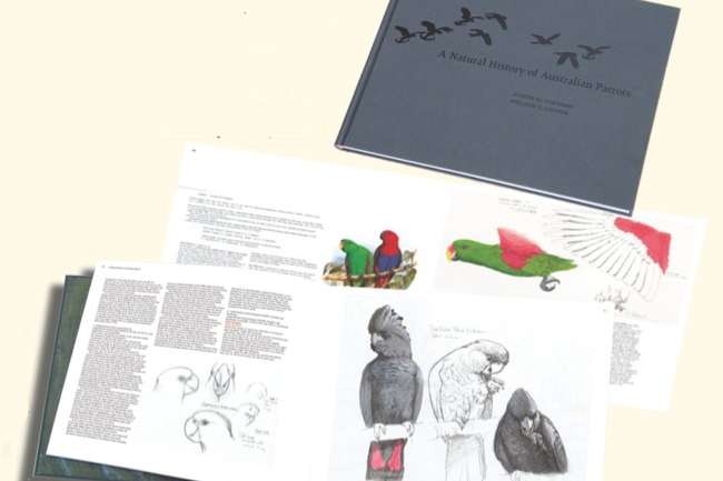 a natural history of australian parrots
