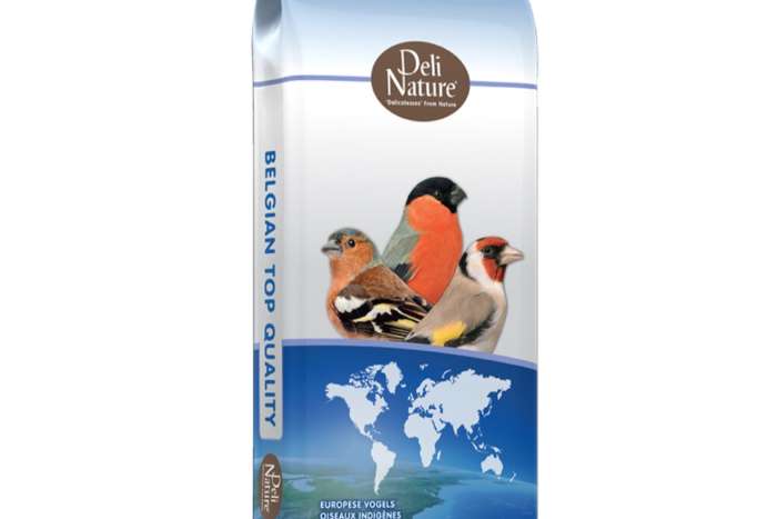 sijsjes zaad daily nature