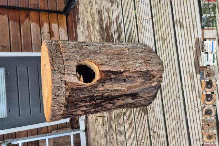 broedblokken 2 stuks