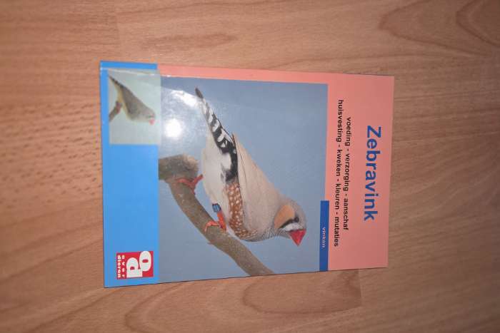 de zebravink