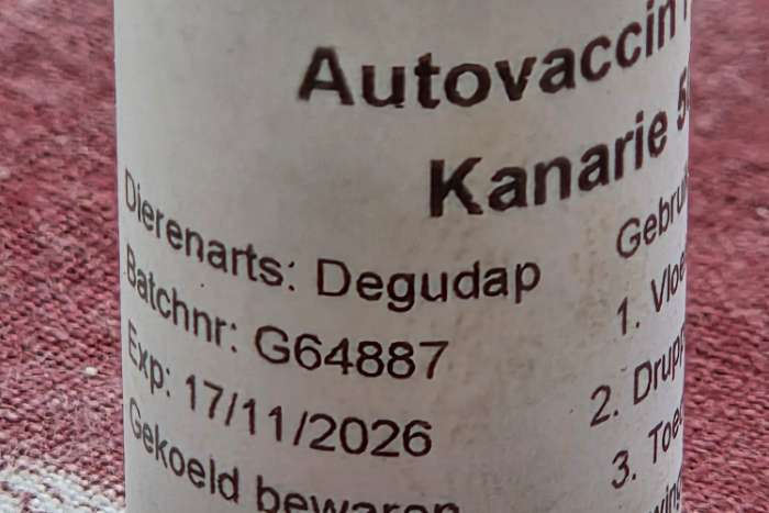 entstof kanaries