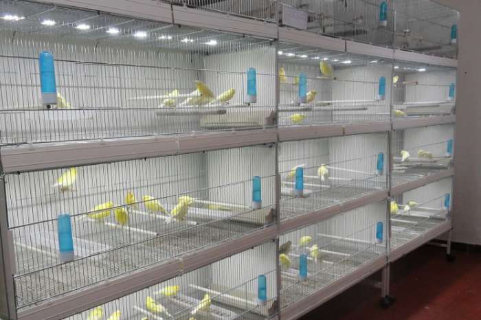 compleet assortiment led producten voor vogels