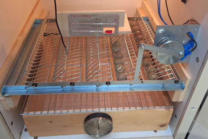 vol automatische broedmachine