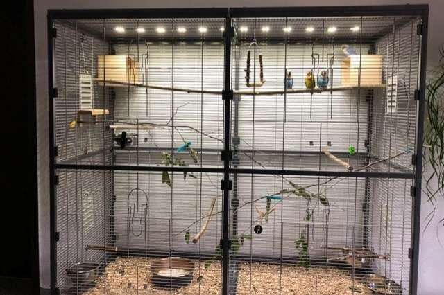 led installatie op maat voor uw vogelkooi(en)