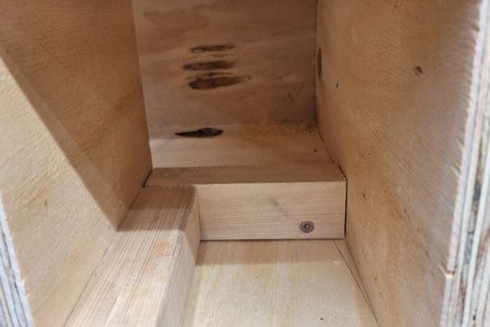 nestkasten tapuiten