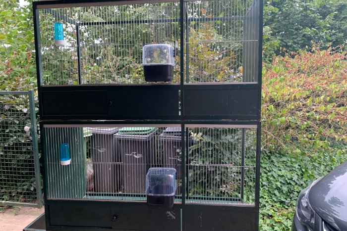 2 grote opvang/broedkooien