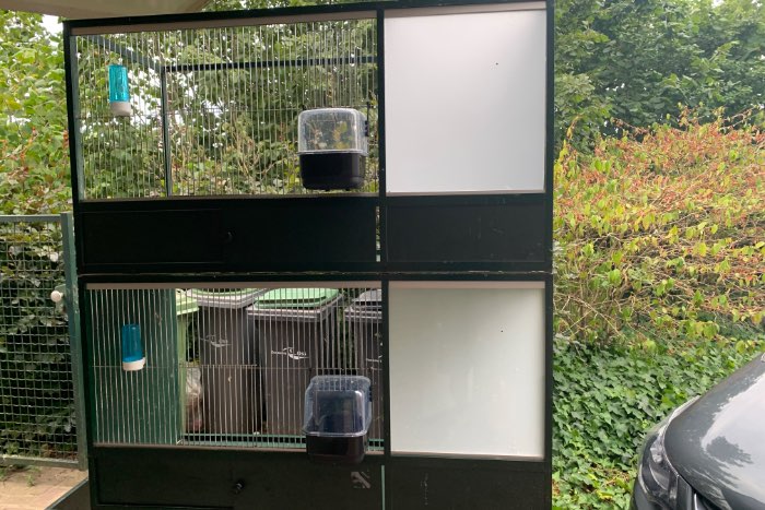 2 grote opvang/broedkooien