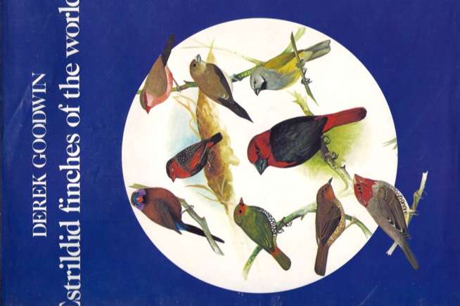 estrildid finches of the world