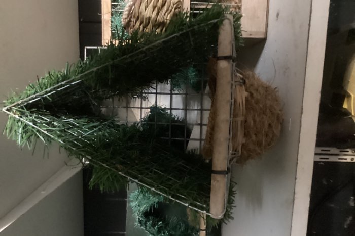 diverse nest kapelletjes