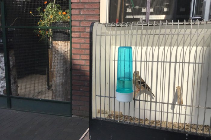 te koop