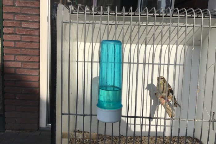 te koop