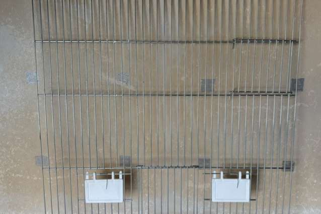 voorfront 50 x 50