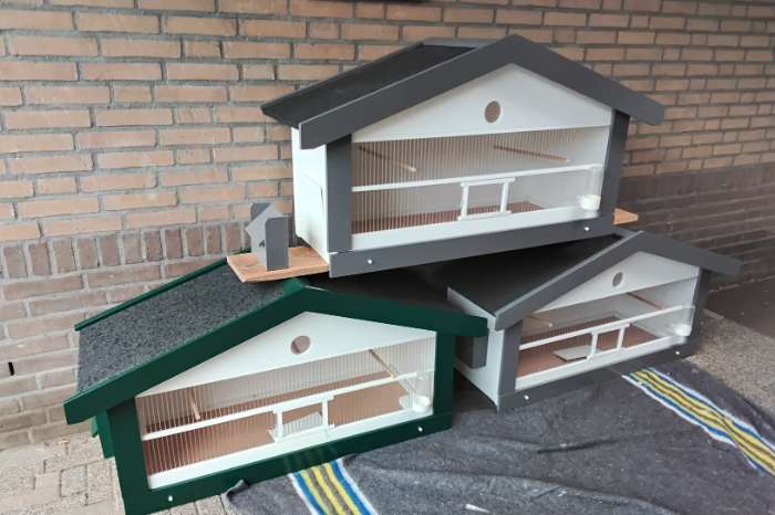 vogel kooien zang kooien