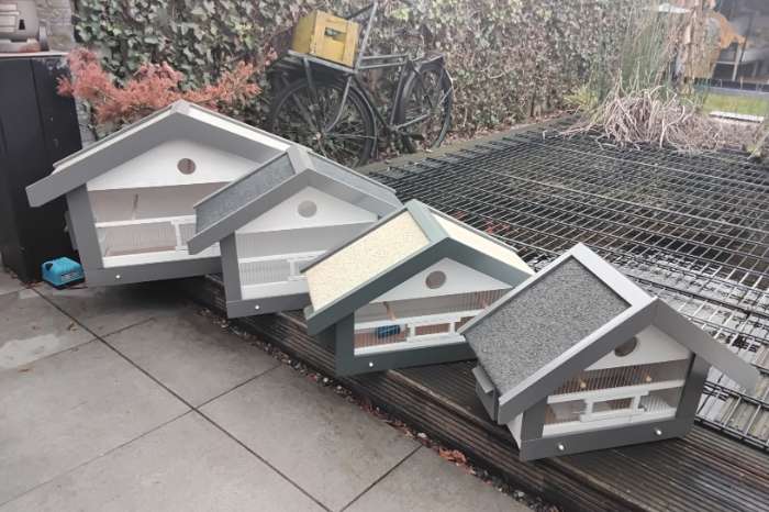 vogel kooien zang kooien