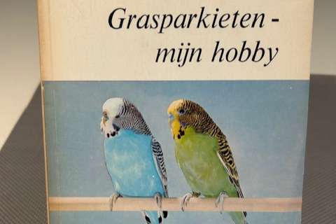 grasparkieten - mijn hobby