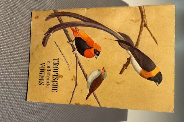 tropische zaadetende vogels
