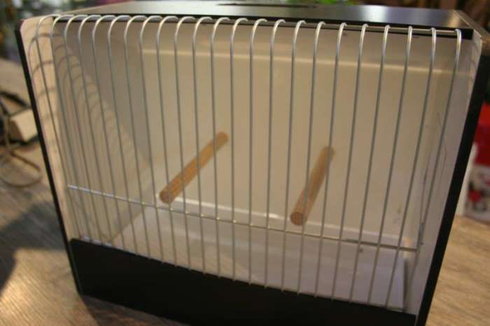pvc tt kooien 10+1 gratis