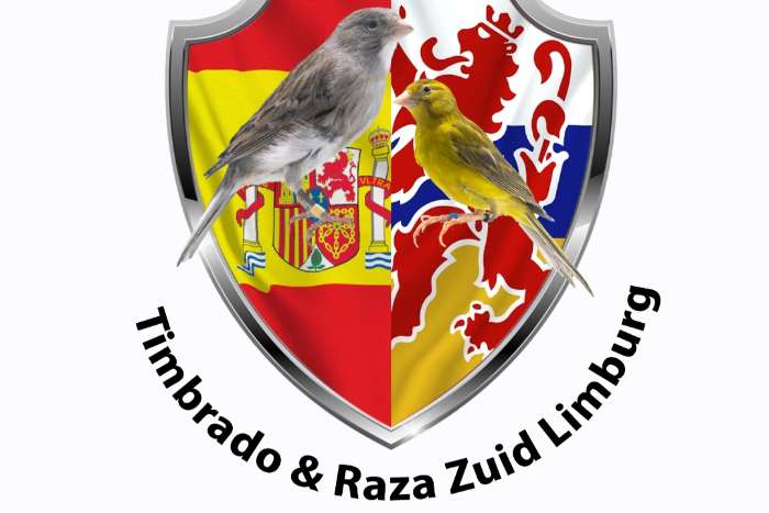 timbrado original (classico)