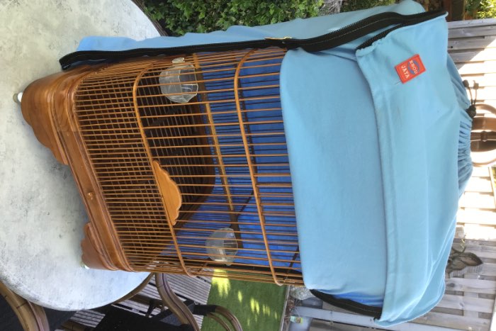 zangkooi uit indonesië