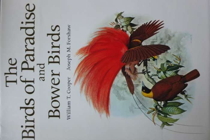 the birds of paradise and bowerbirds