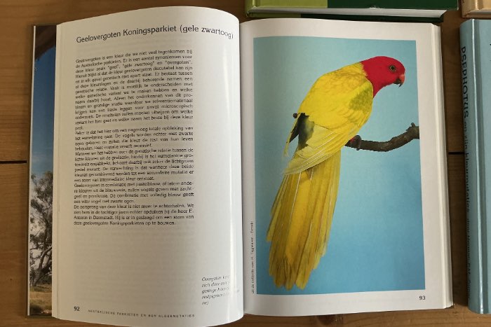 serie boeken herman p.m. zomer parkieten en hun kleurmutaties