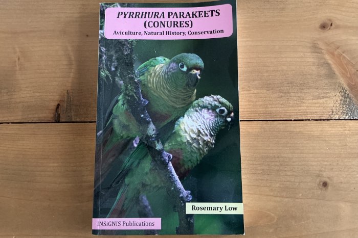 pyrrhura parakeets by rosemarie low