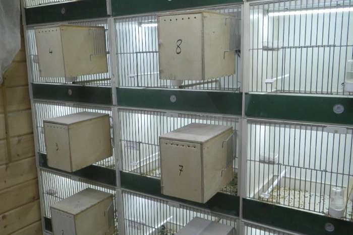 aluminium led tubes in 17-32-52-72-100 cm lengte