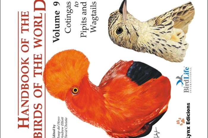 handbook of the birds of the world deel 9, cotingas to pipits an