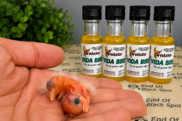 vidabird 20ml ornizìn “einde aan de zwarte vlek”