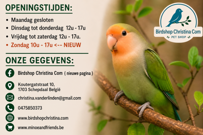 vidabird 20ml ornizìn “einde aan de zwarte vlek”