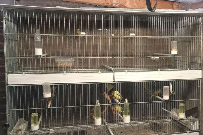 draadkooi domus molinari gegalvaniseerd 120cm