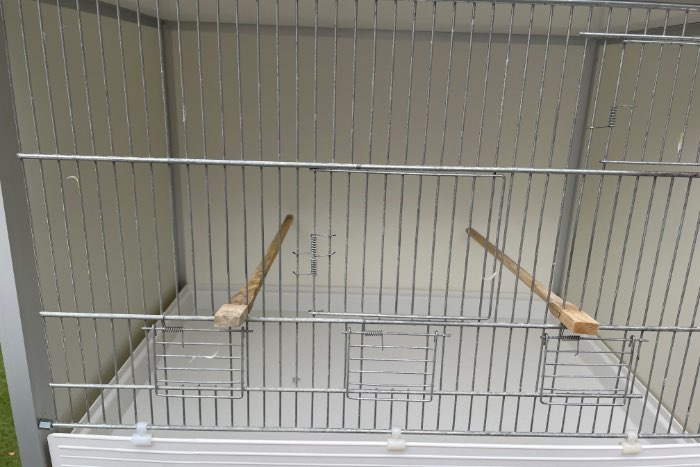 broedkooien van birdshop