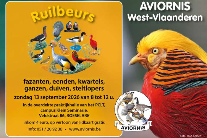 ruilbeurs aviornis west-vlaanderen