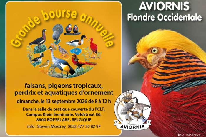 ruilbeurs aviornis west-vlaanderen