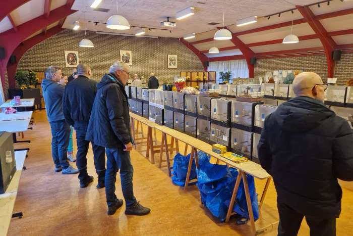 vogelruilbeurs vv de kolibri noordwijkerhout 13.00 - 14.30 uur
