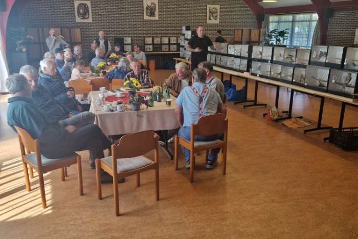 vogelruilbeurs vv de kolibri noordwijkerhout 13.00 - 14.30 uur