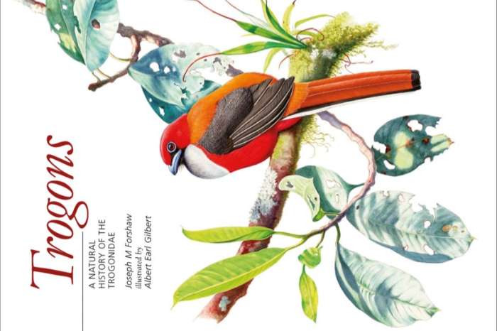 trogons, a natural history of the trogonidae