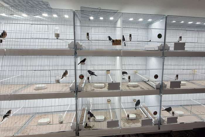 compleet assortiment led producten voor vogels