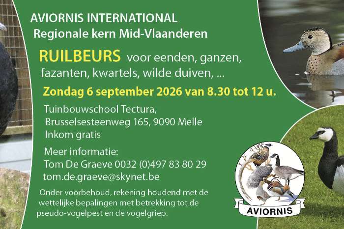 beurs aviornis mid-vlaanderen