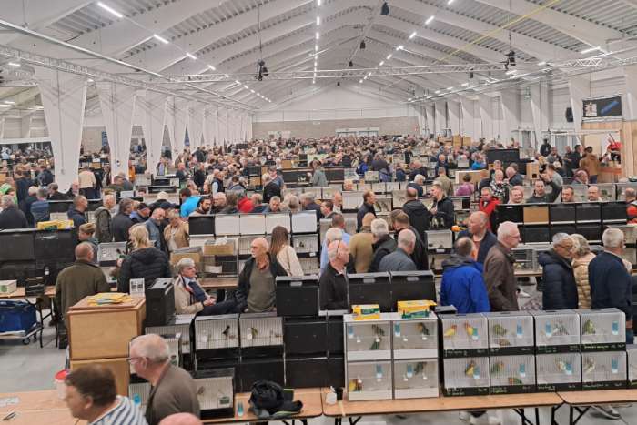 grote internationale vogelbeurs putte, 20 september 2026