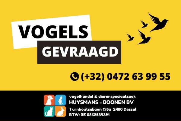 forbes, bichenow en vele andere tropen gevraagd