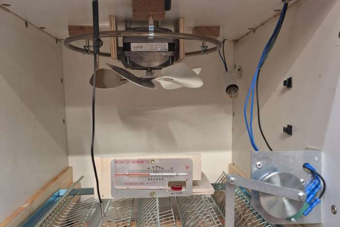 volautomatische broedkast
