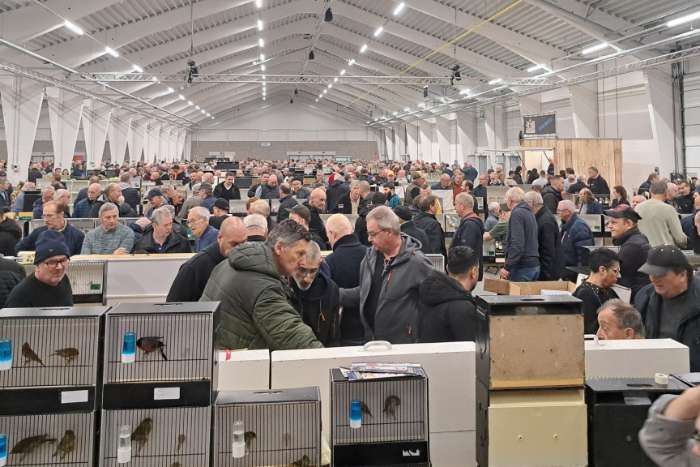 grote internationale vogelbeurs putte, 20 september 2026