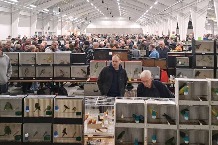 grote internationale vogelbeurs putte, 20 september 2026