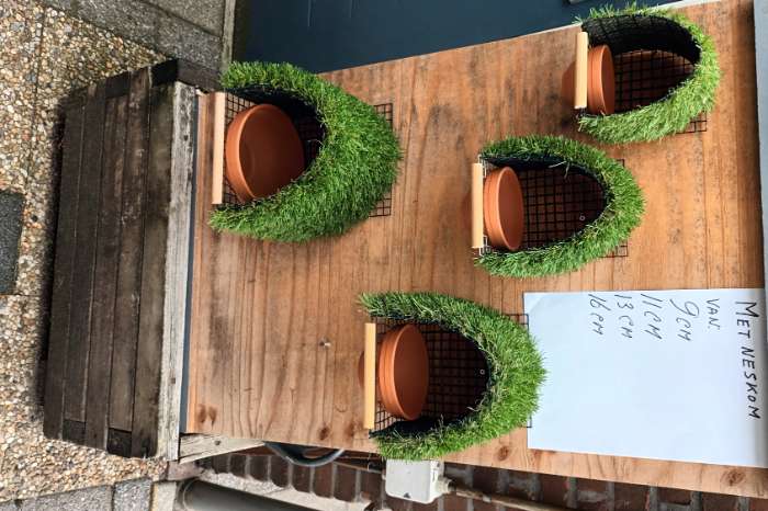nestkasten tropische vogels,