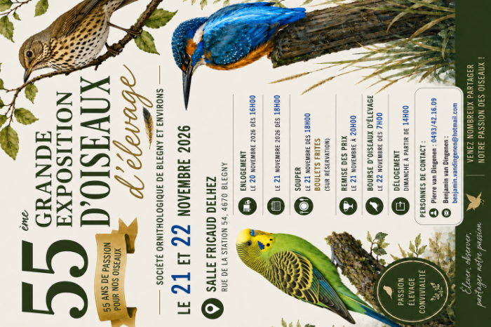 exposition d’oiseaux d’élevage au si que bourse