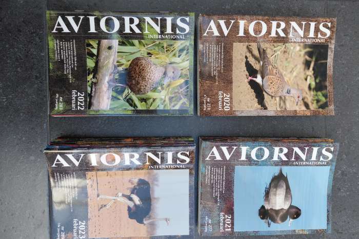 aviornis magazines