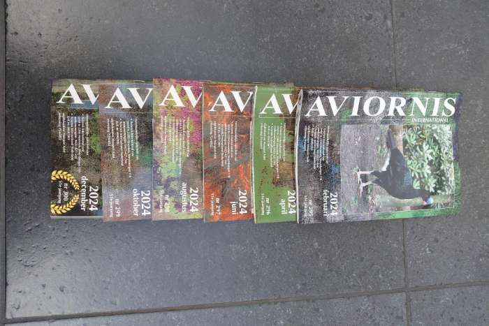 aviornis magazines