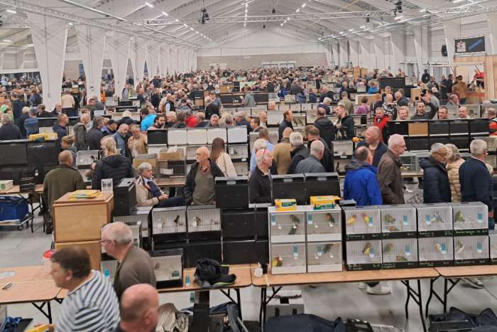 grote internationale vogelbeurs putte, 20 september 2026